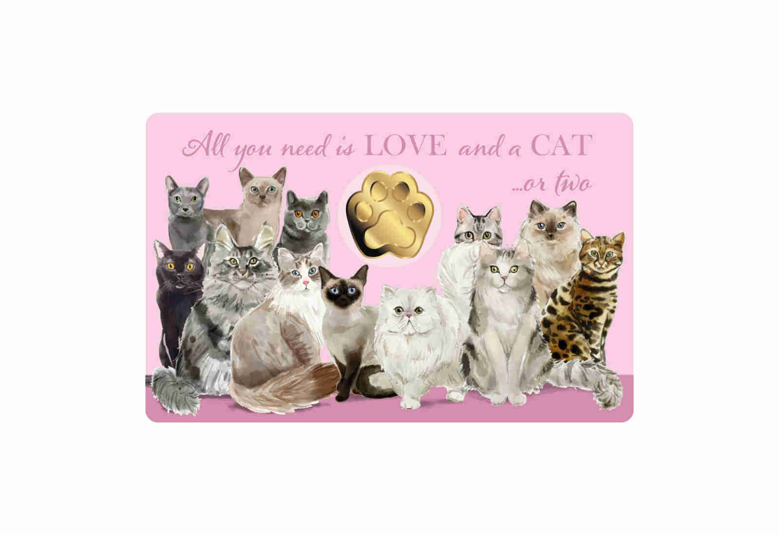 Coincard Katze mit Goldmünze