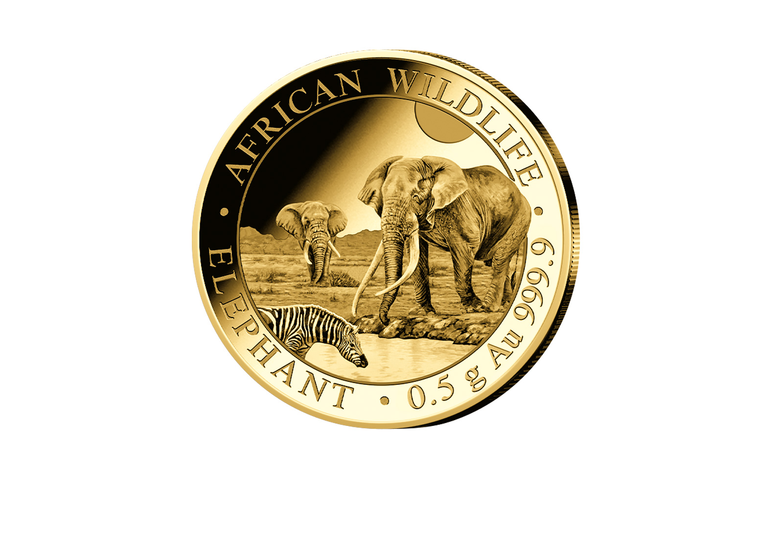 African Wildlife Serie 0,5 Gramm Gold 2026 Somalia Elefant