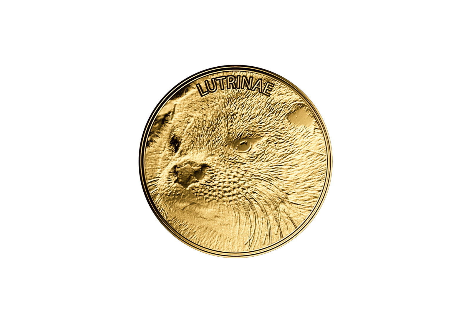 Goldmünze Motiv Otter 999/1000 Gold Geschenk