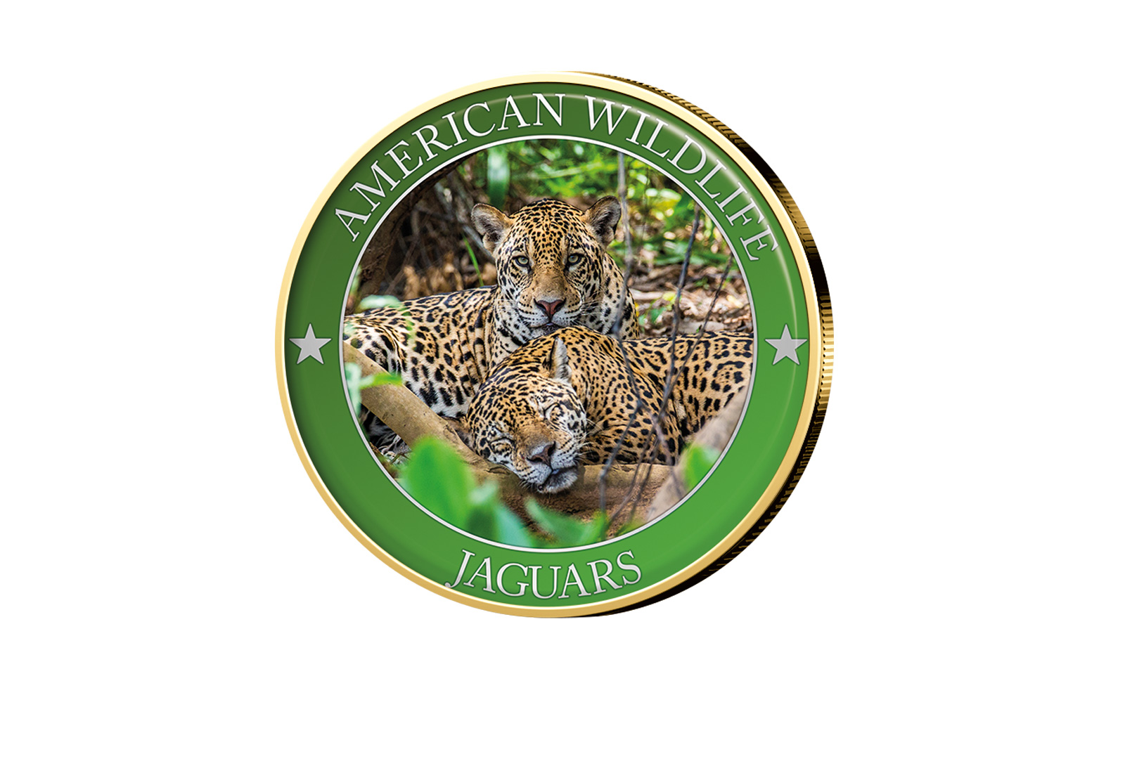 1/2 Dollar USA Jaguar Serie American Wildlife mit Farbapplikation