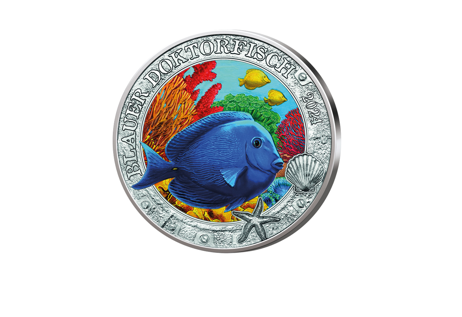 3 Euro 2024 Österreich Blauer Doktorfisch bfr.