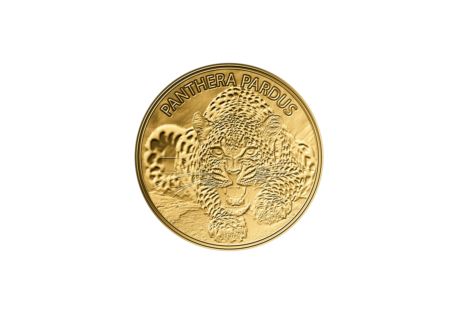 Goldmünze Leopard 999/1000 Gold Geschenk