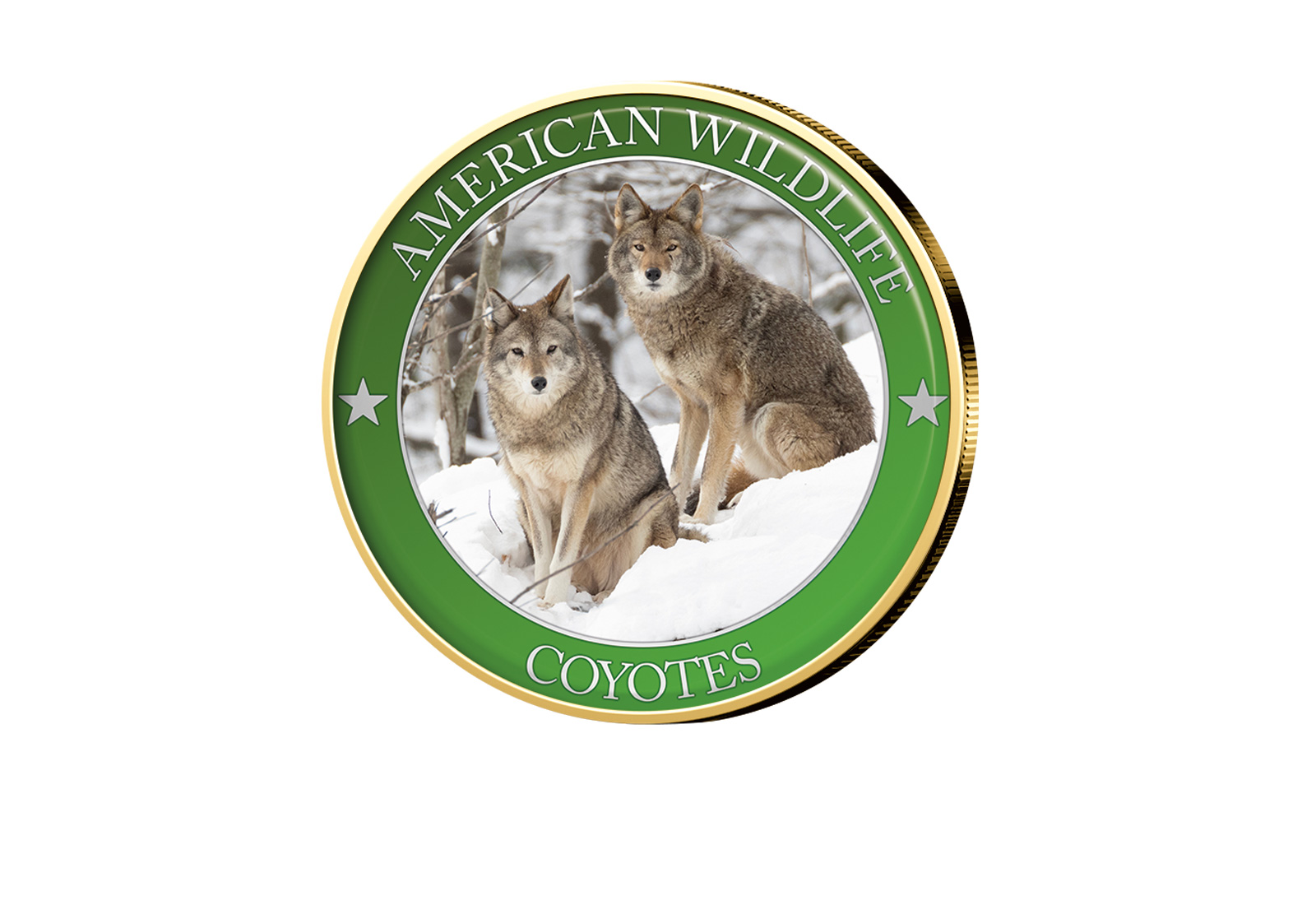 1/2 Dollar USA Coyote Serie American Wildlife mit Farbapplikation