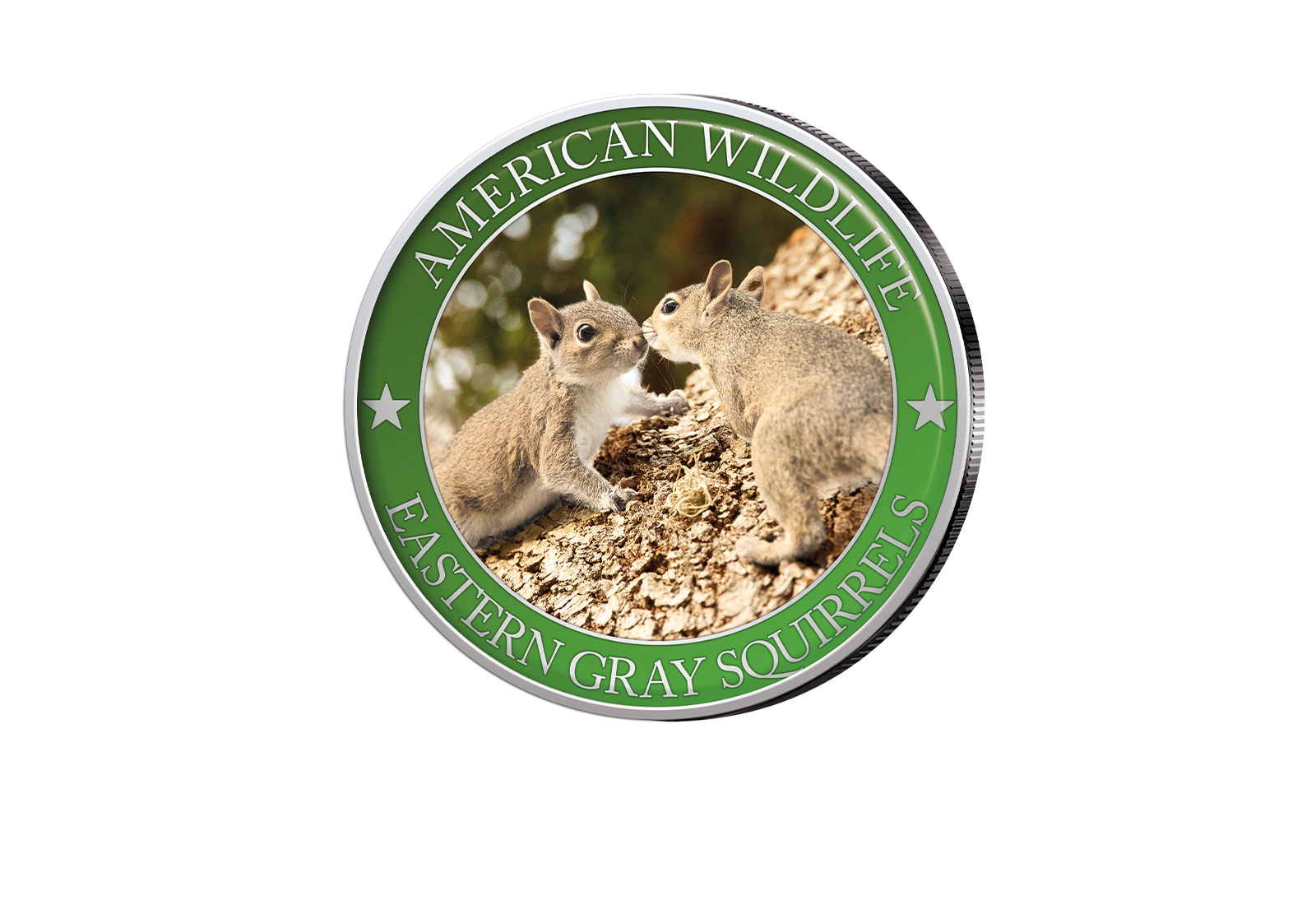 1/2 Dollar USA Eastern Grey Squirrel Serie American Wildlife mit Farbapplikation