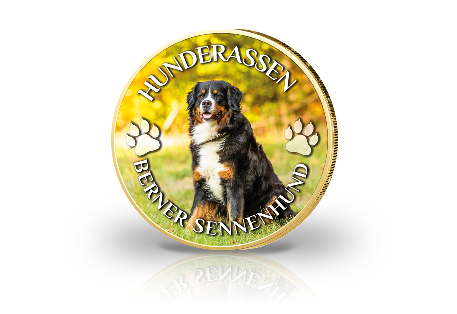 2 Euro vergoldet Berner Sennenhund mit Farbmotiv
