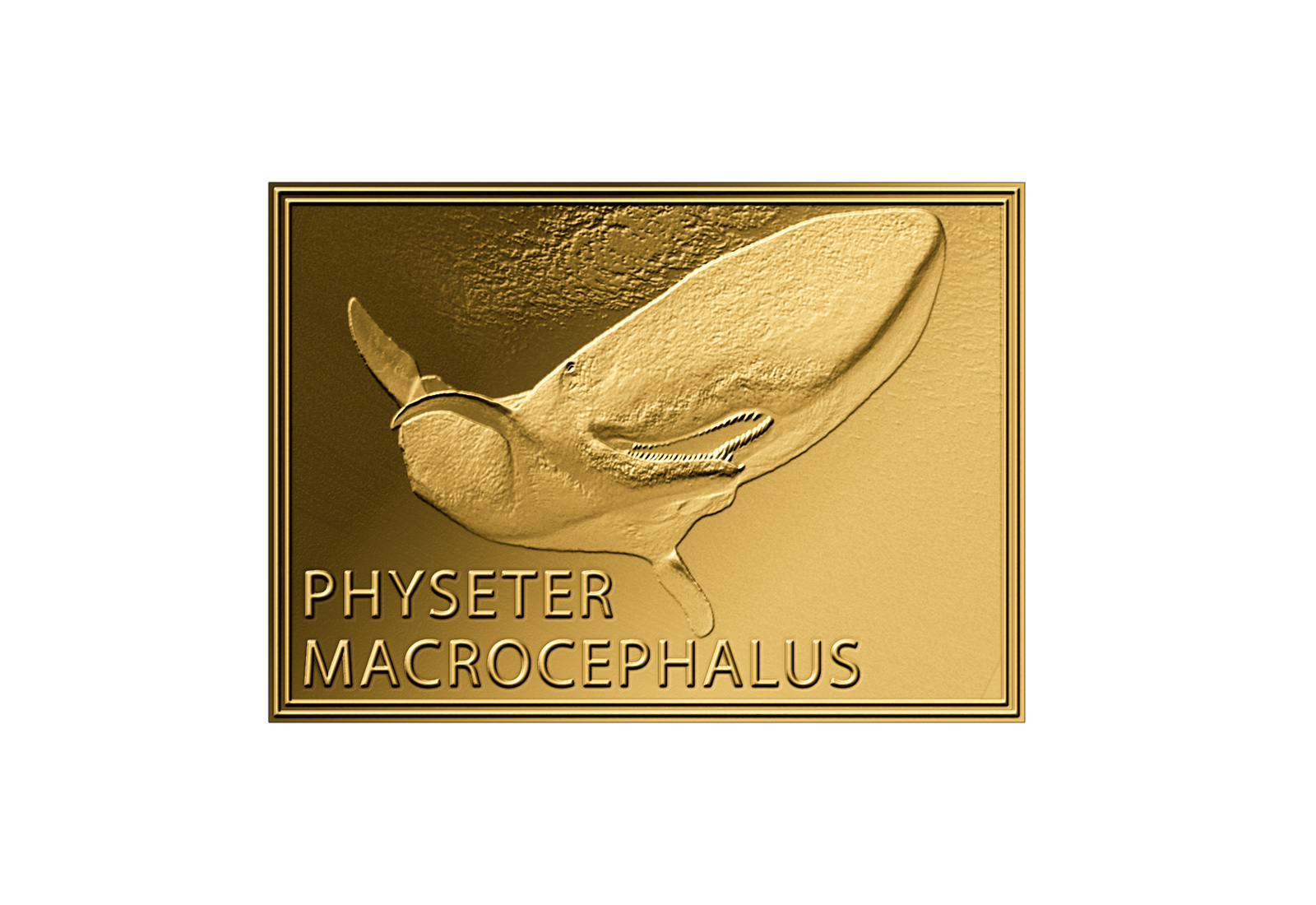 Goldmünze Motiv Pottwal 999/1000 Gold Geschenk