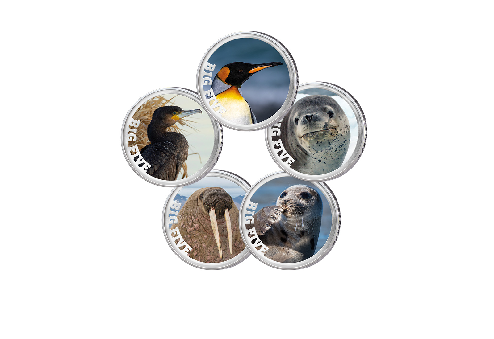 5x 2 Euro Premium-Set Big Five of Antarktis im Etui