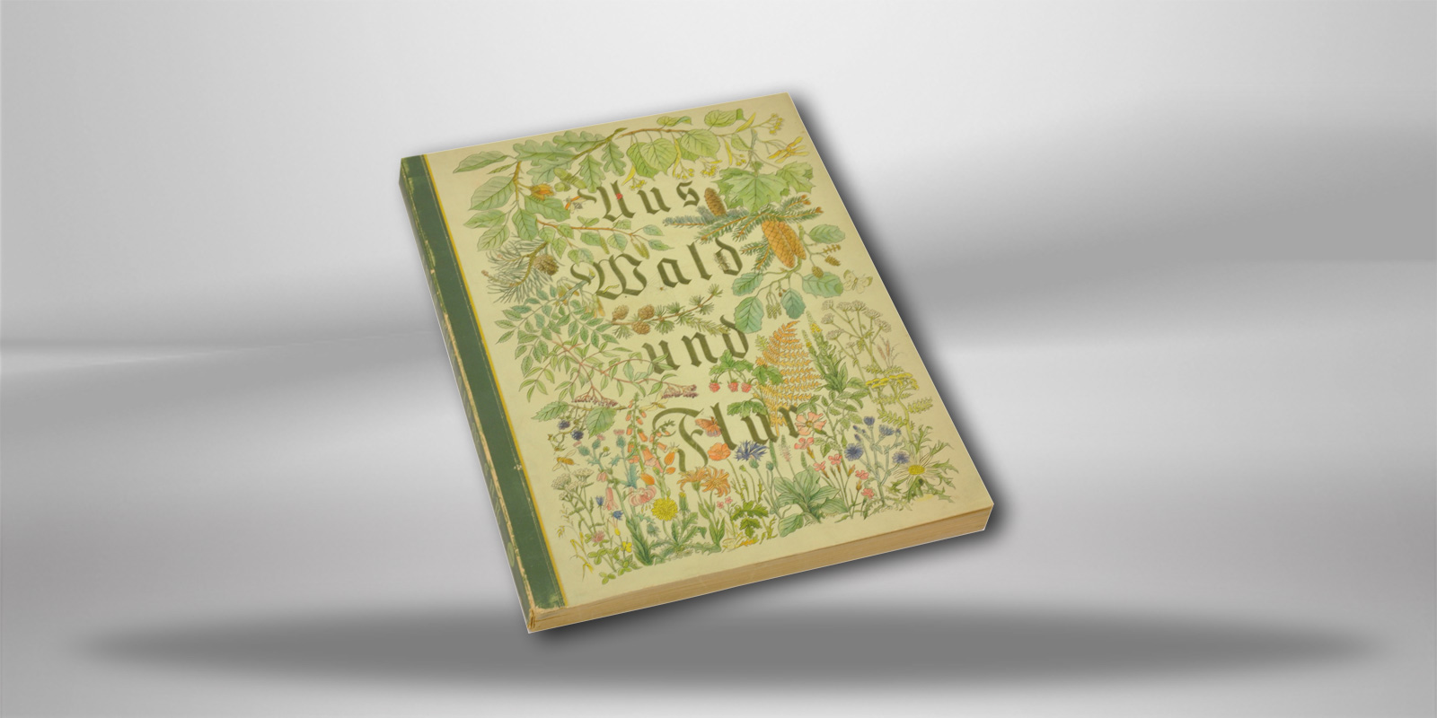 Sammelbilderalbum 1937 Pflanzen unserer Heimat