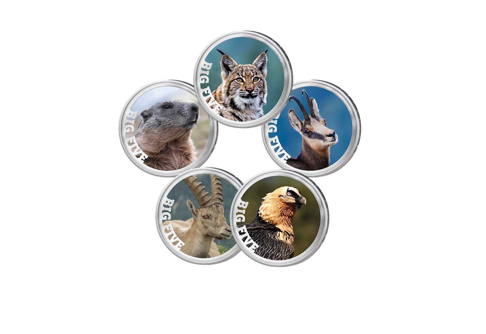 5x 2 Euro Premium-Set Big Five of Switzerland im Etui