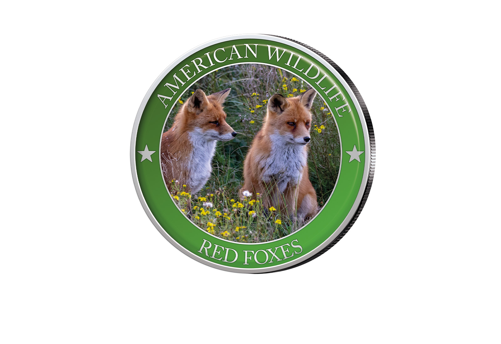 1/2 Dollar USA Red Fox Serie American Wildlife mit Farbapplikation