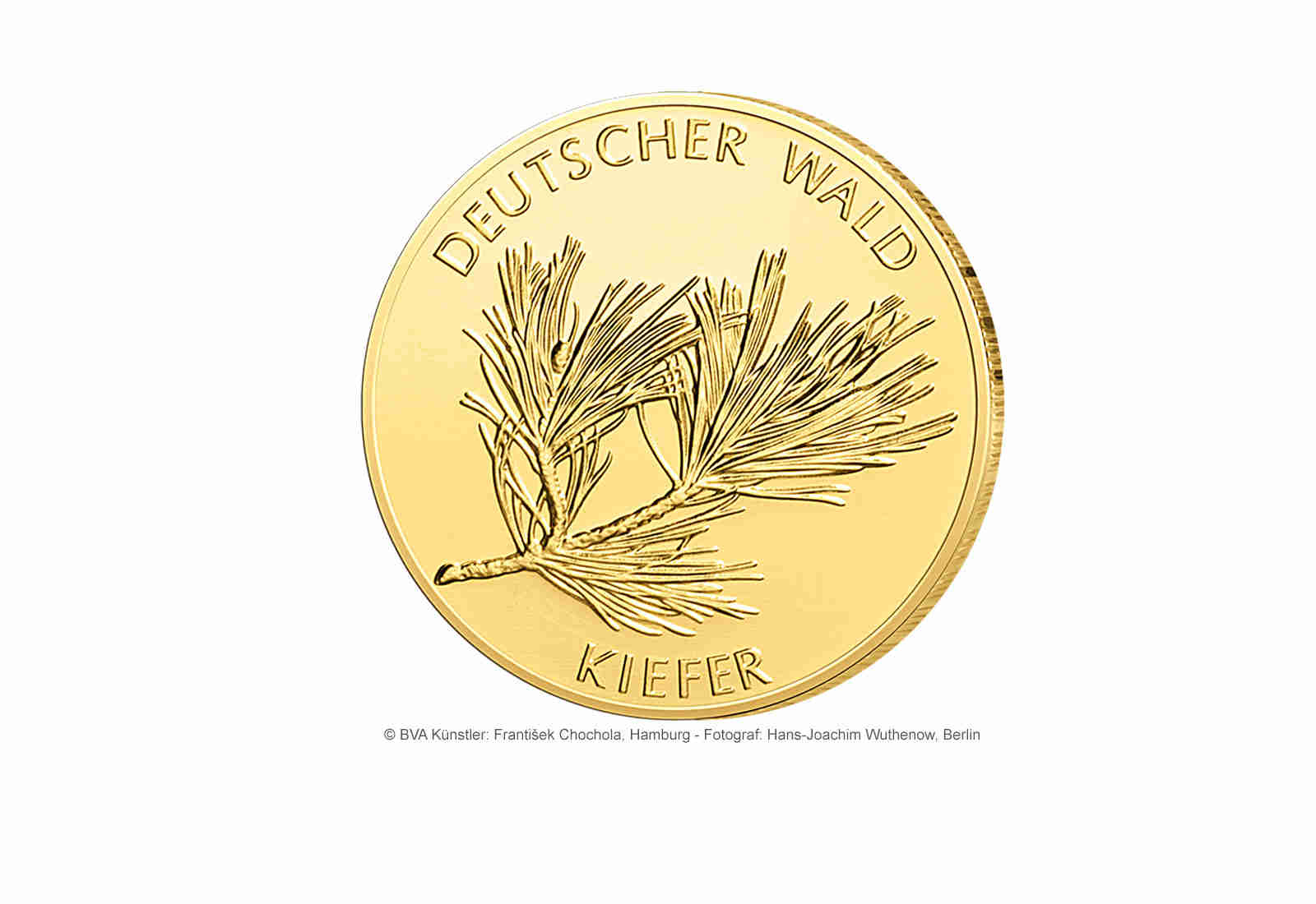 20 Euro 2013 Goldmünze Deutschland Kiefer Prägestätte unserer Wahl