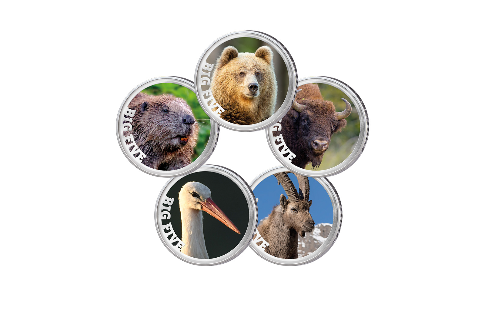 5x 2 Euro Premium-Set Big Five of Europe im Etui