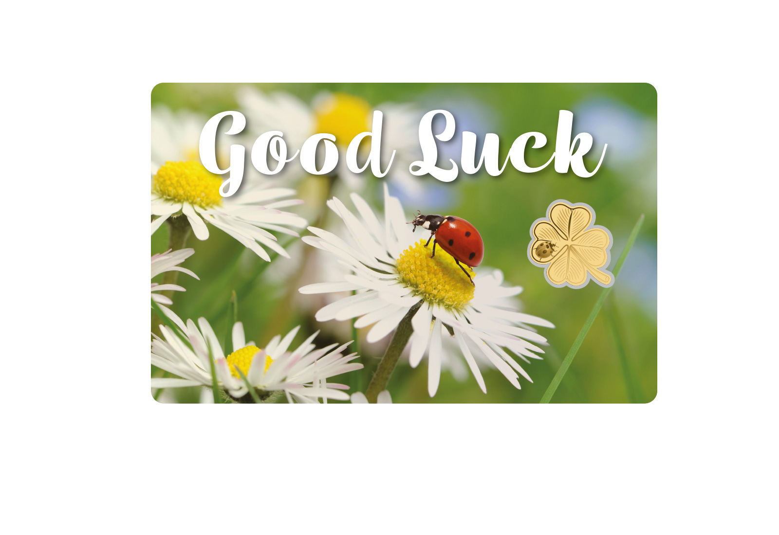 Goldmünze Good Luck Coincard 999/1000 Gold Geschenk