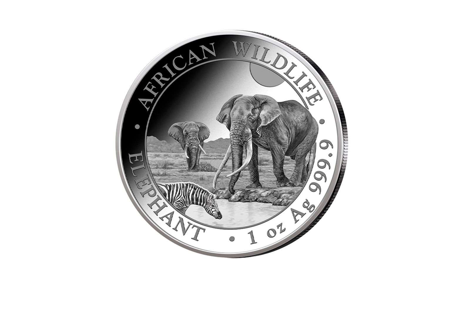 African Wildlife Serie 1 oz Silber 2026 Somalia Elefant