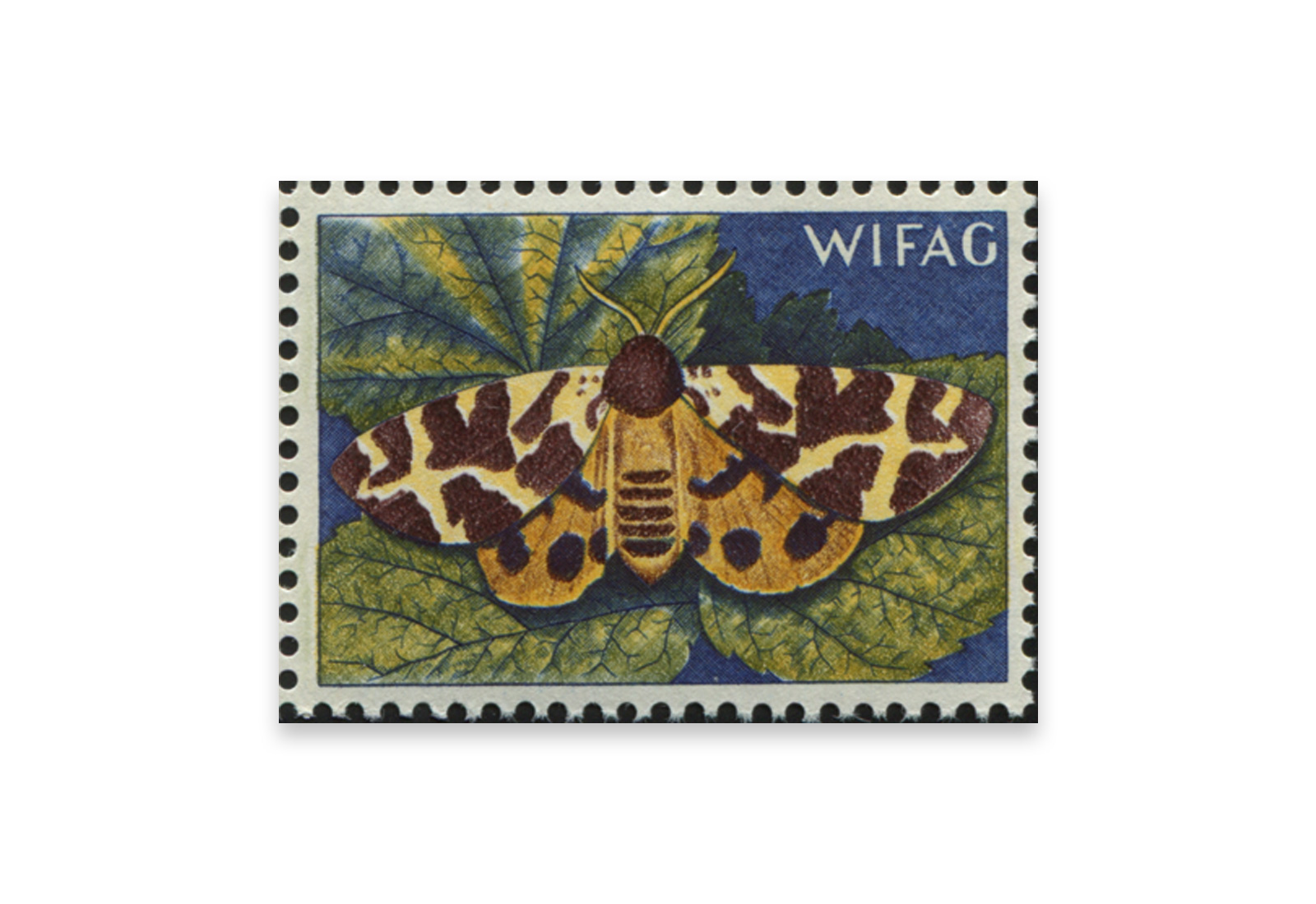 Briefmarken Versuchsdruck WIFAG Schmetterling Phase 7 mit Originalgummierung